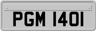 PGM1401