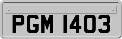PGM1403