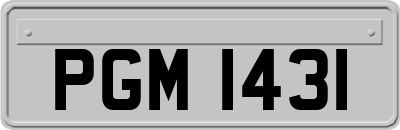 PGM1431