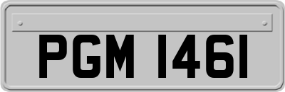 PGM1461