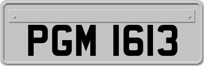 PGM1613