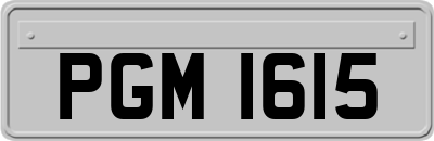 PGM1615
