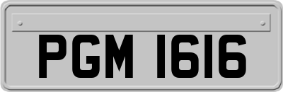 PGM1616