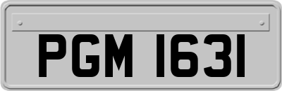 PGM1631