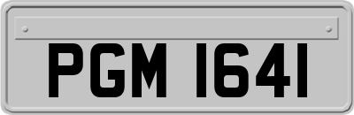 PGM1641