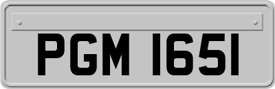 PGM1651