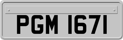 PGM1671