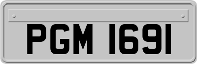 PGM1691
