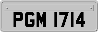 PGM1714