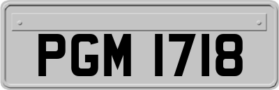 PGM1718