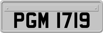PGM1719