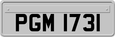 PGM1731