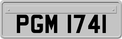 PGM1741