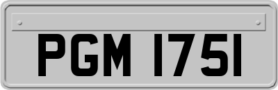 PGM1751