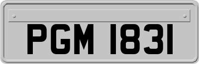 PGM1831