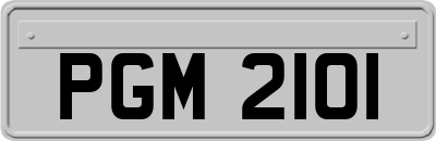 PGM2101