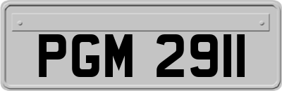 PGM2911