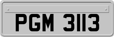 PGM3113