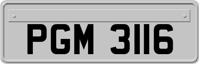 PGM3116