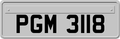 PGM3118