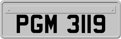 PGM3119