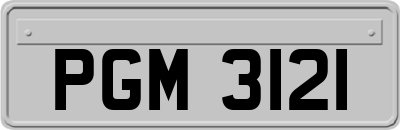 PGM3121