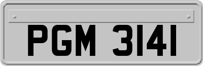 PGM3141