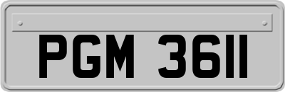 PGM3611