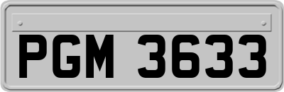 PGM3633