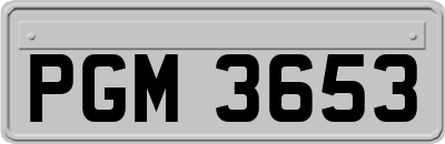 PGM3653