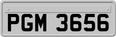 PGM3656