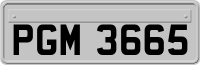 PGM3665