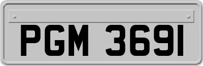 PGM3691