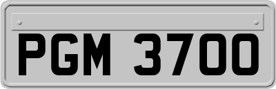 PGM3700