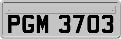 PGM3703