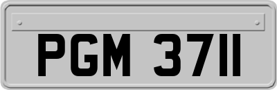 PGM3711