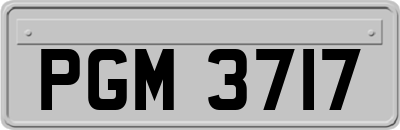 PGM3717