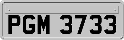 PGM3733