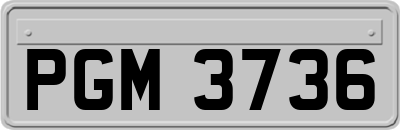 PGM3736