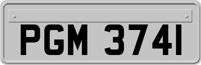 PGM3741