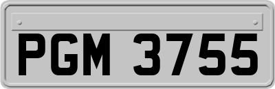 PGM3755