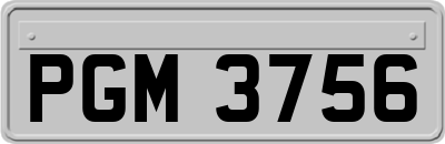 PGM3756