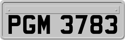 PGM3783