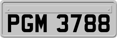 PGM3788