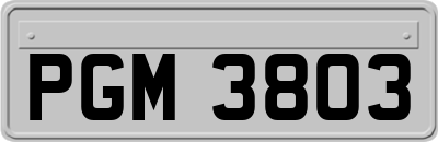PGM3803