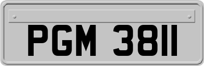 PGM3811