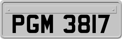 PGM3817
