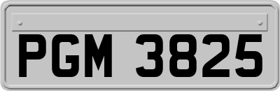 PGM3825