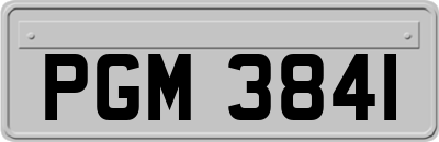 PGM3841
