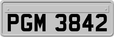 PGM3842